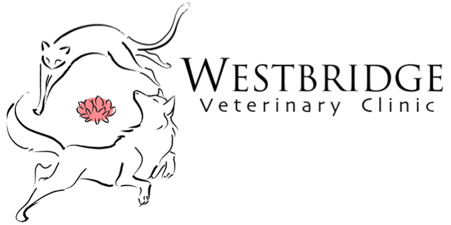 Westbridge Veterinary Clinic Logo